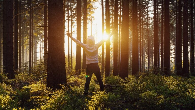 A person stands in a forest, arms outstretched, embracing nature amidst tall trees and dappled sunlight.