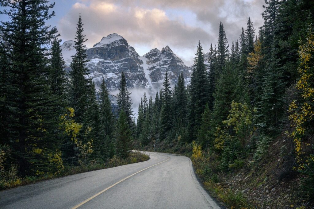 A scenic road lined with trees, leading to majestic mountains in the background under a clear blue sky.