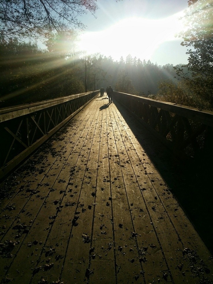 Wooden pedestrian bridge through a forest with sunlight streaming over the trees, casting long shadows across the boardwalk as several people walk in the distance.